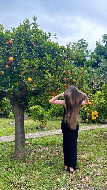 My recipe for a good day: pluck an orange right off the tree..