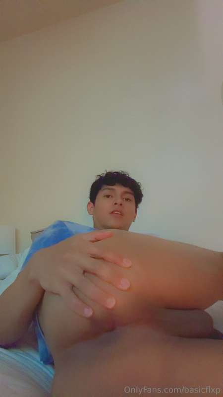 basicflxp image #2