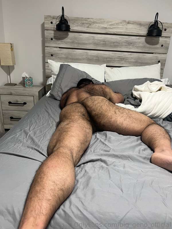⚠️ caution! 😴 sleeping bear in hibernation!