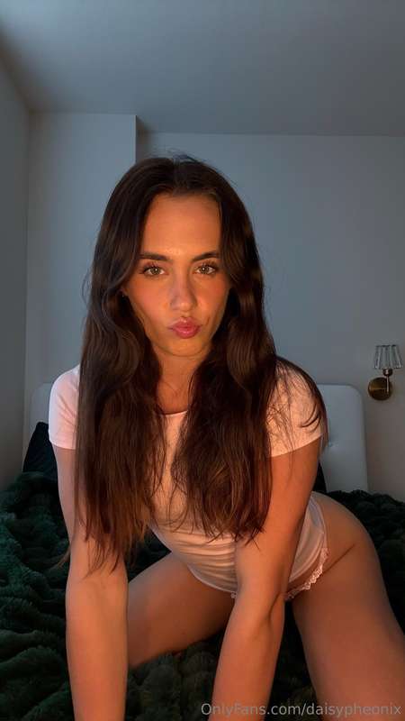 daisypheonix