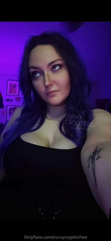 curvycryptiicfree
