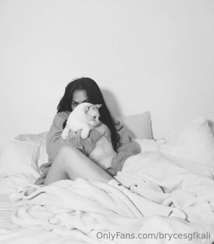 fun fact: i actually love kitties just as much as @fitbrycea..
