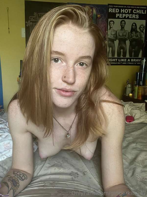 gingerkitty47 image #6