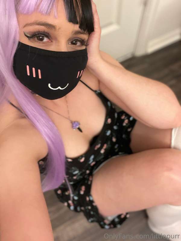 littlepurr