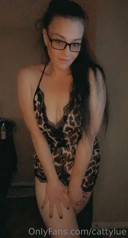 cattylue image #8
