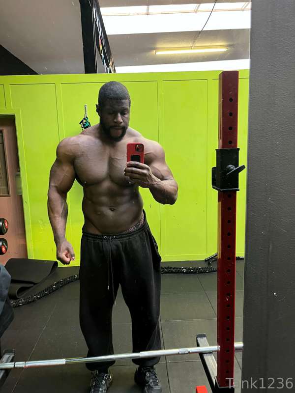 media