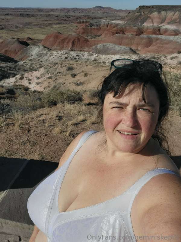 Saying Helllooo from Petrified Forest National Park! Been ou..