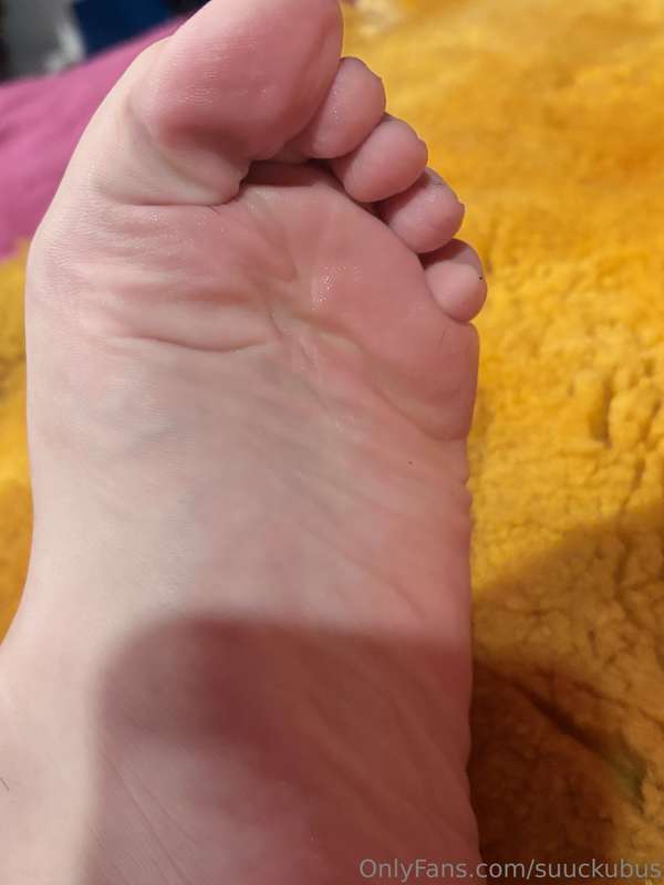 suuckubus