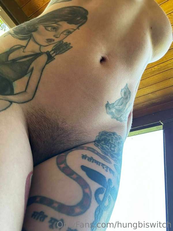 hungbiswitch