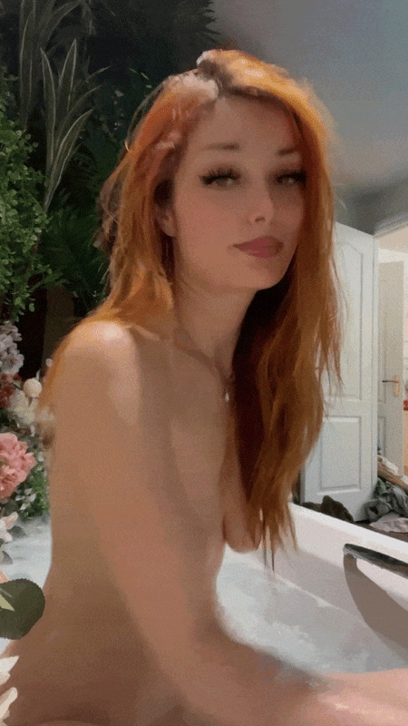 pixiecat image #0