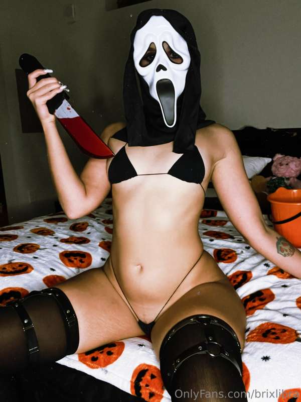 brixlibra image #1