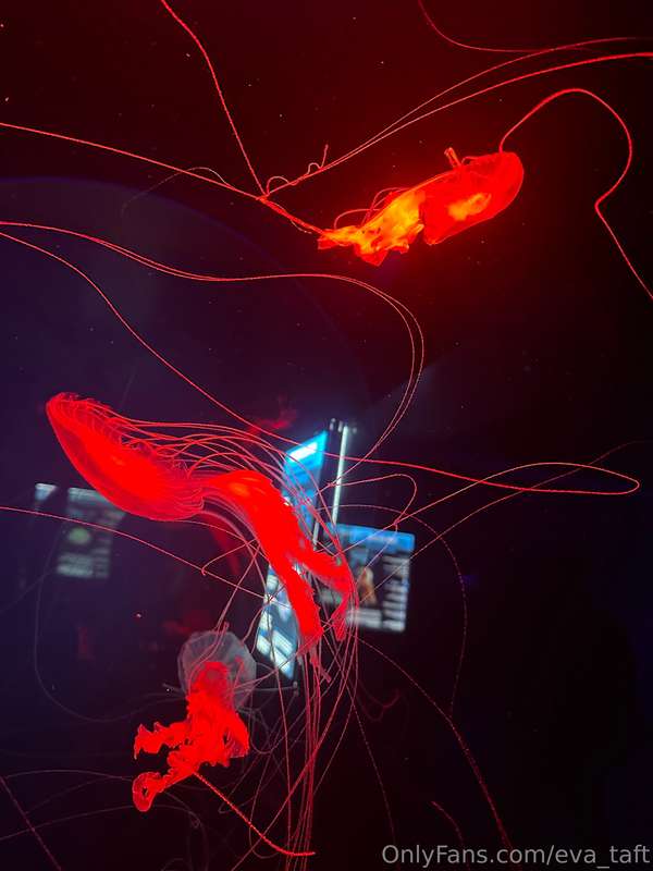 eva_taft image #3