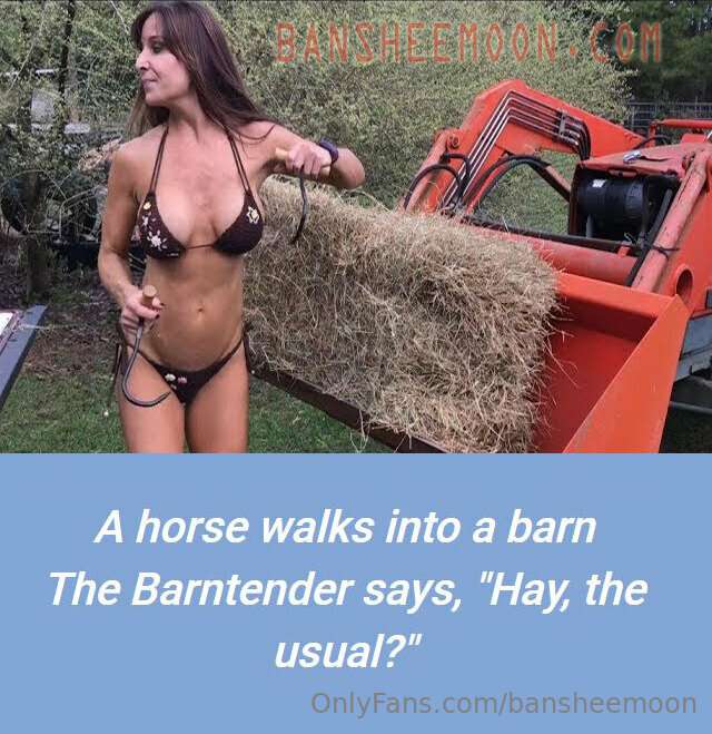 bansheemoon