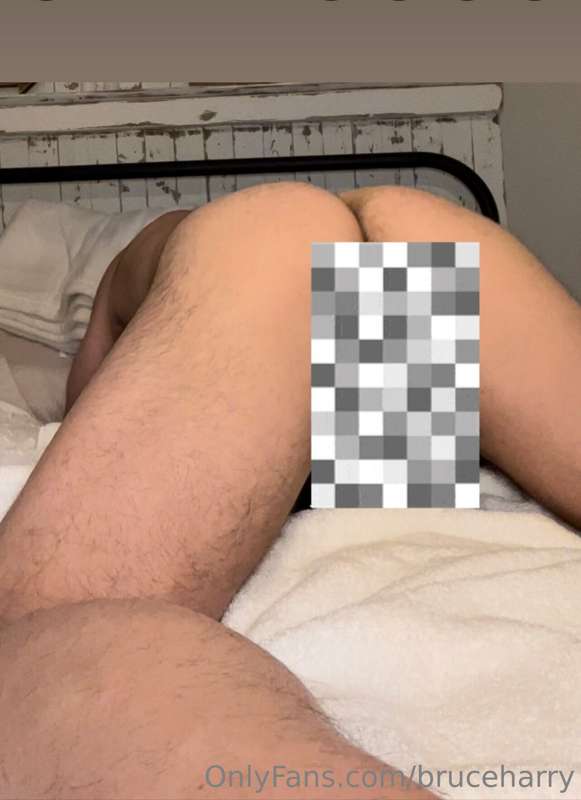 bruceharry