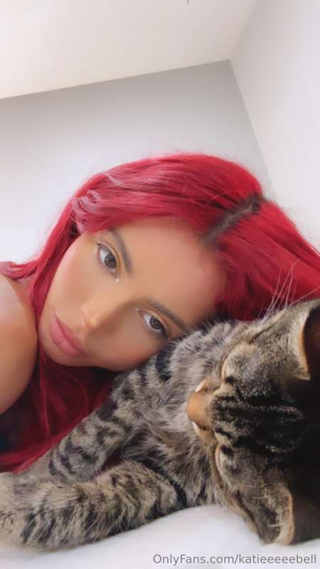 do you like my kitty?