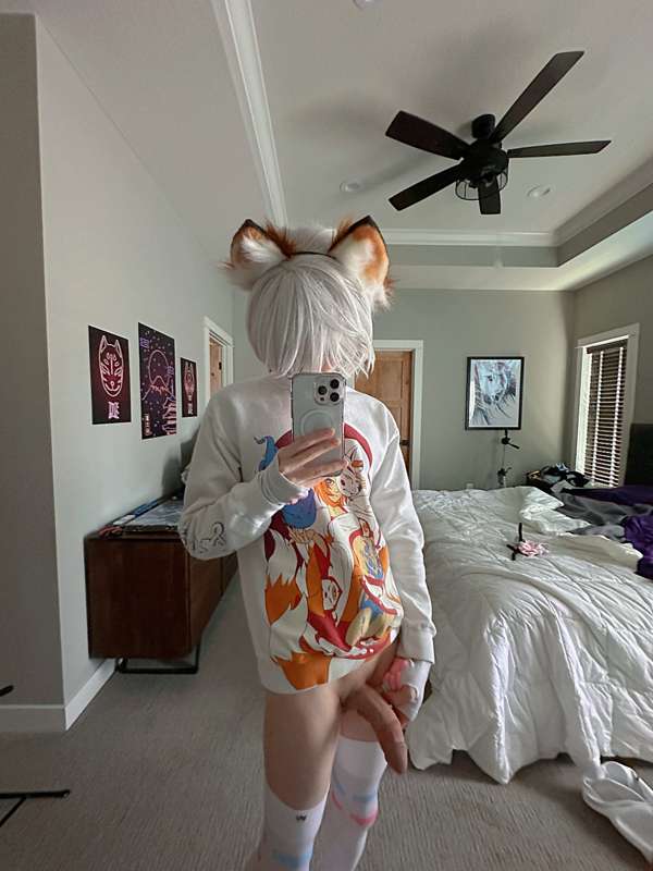catboiaoi image #6