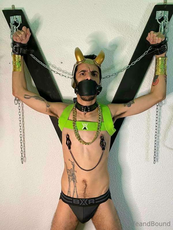 safeandbound image #5
