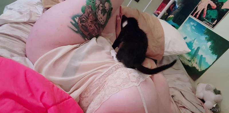sigiimoo