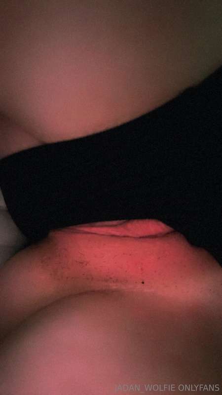 jadan_wolfie