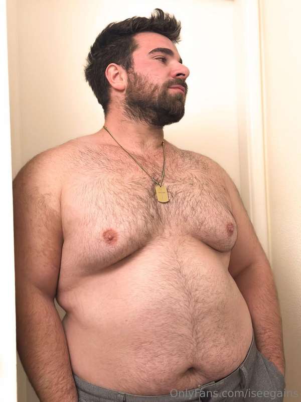 iseegains