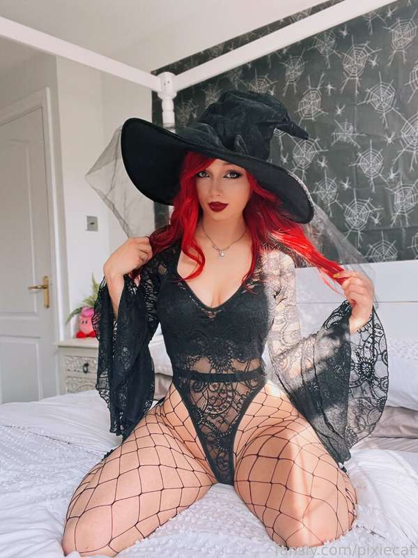 pixiecat image #27