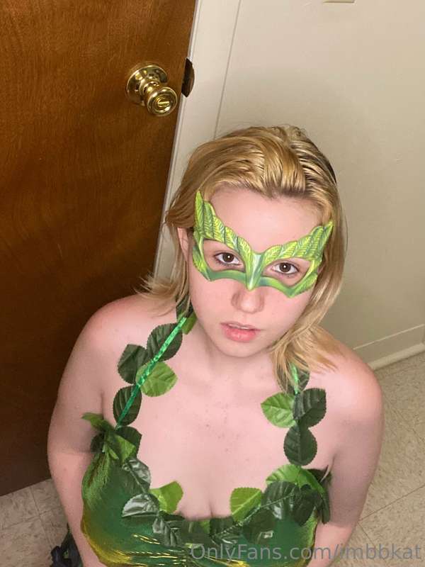 imbbkat image #0