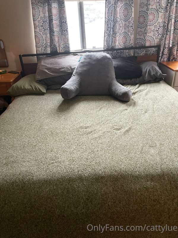 cattylue image #6