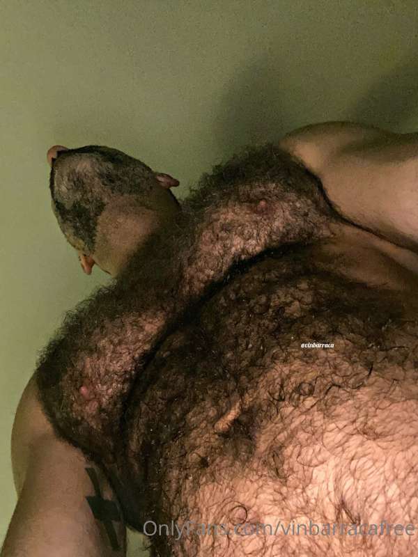 vinbarracafree