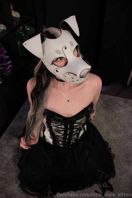 little_pixie_kitten image #6