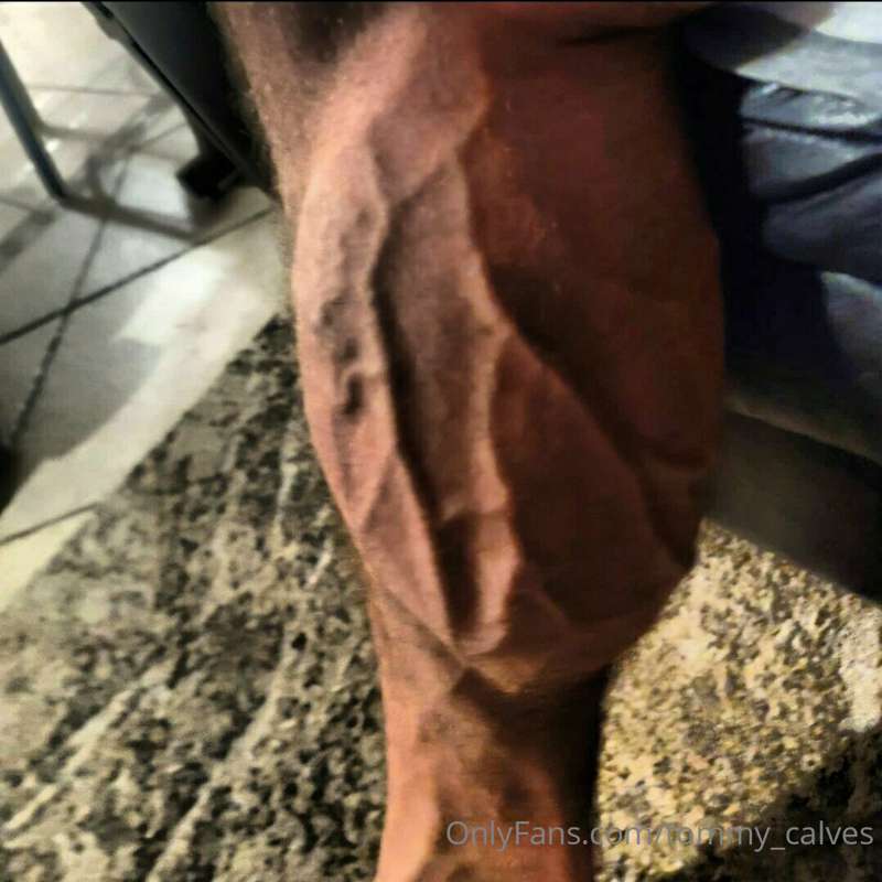 tommy_calves