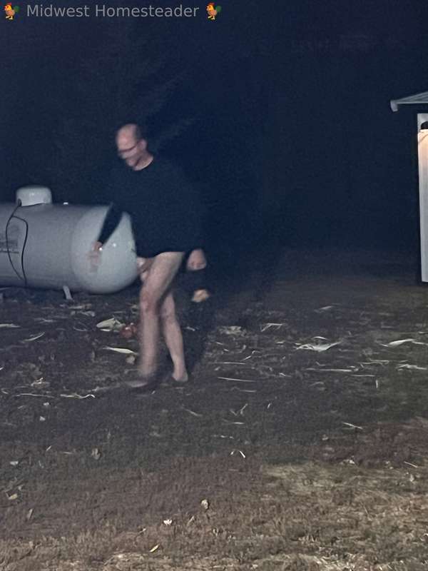 media