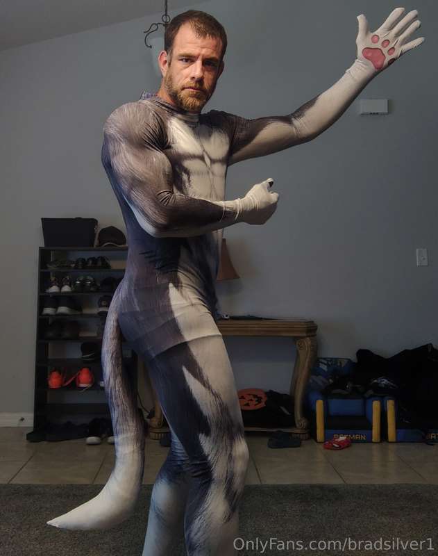 bradsilver1 image #0