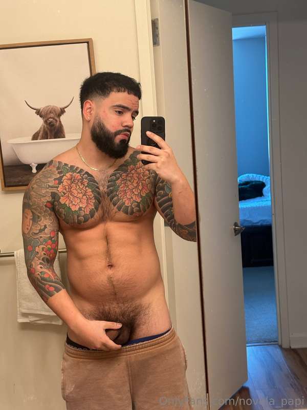 novela_papi