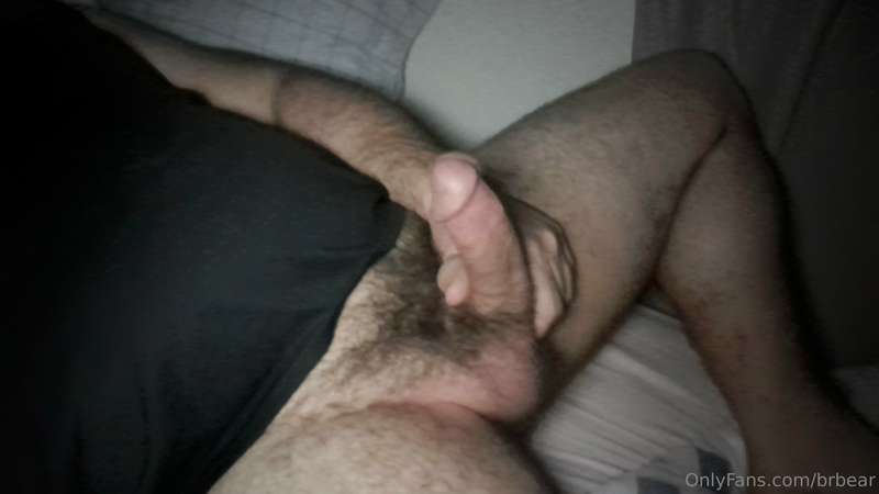 brbear