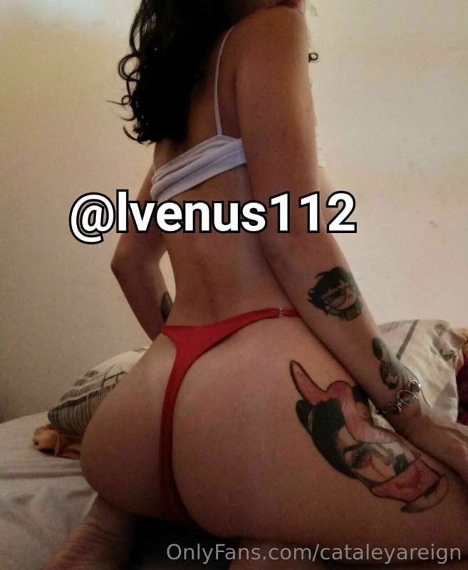 🔥 New girl on onlyfans 🔥

Real dirty porn @lvenusenvirgo112
..