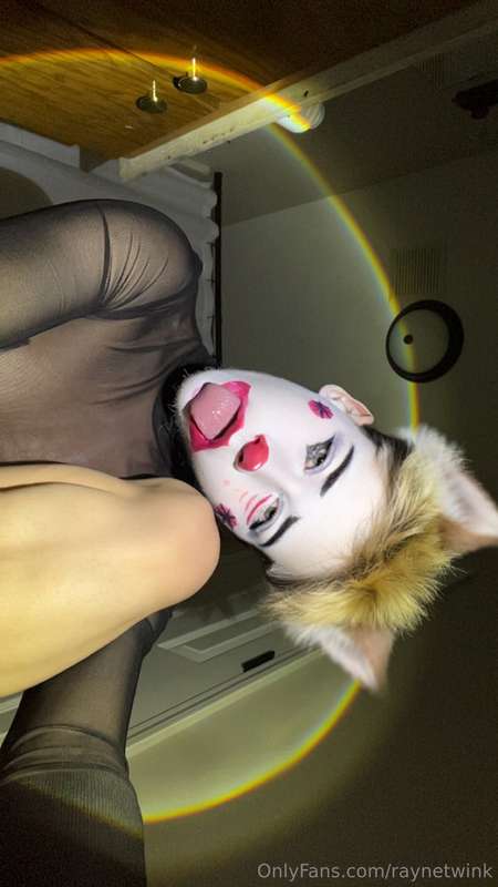 raynetwink