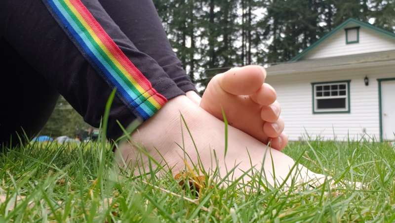 media