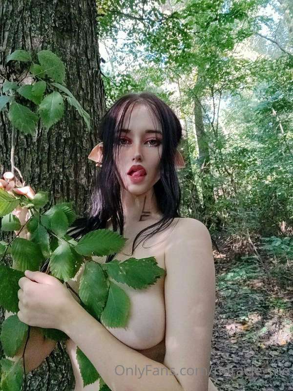 media