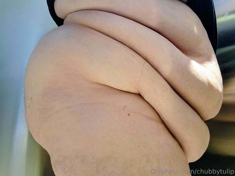chubbytulip
