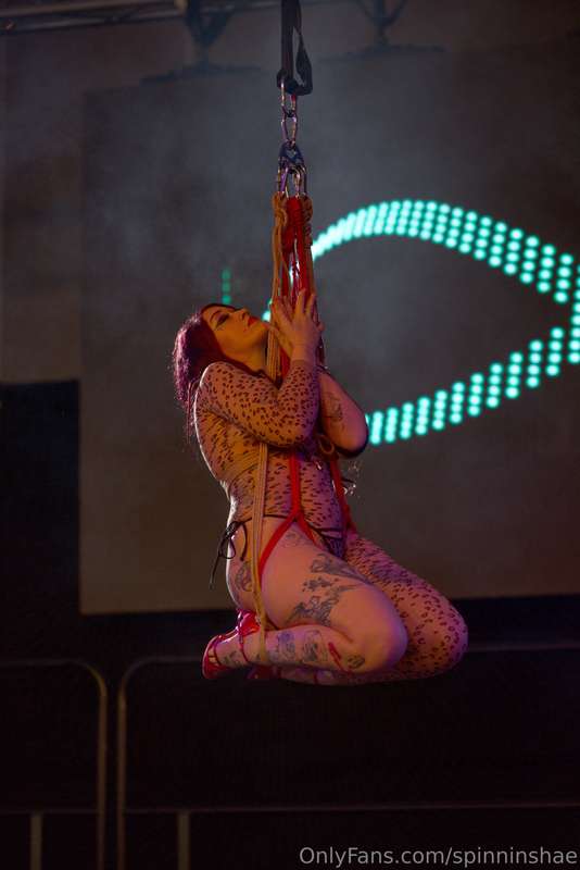 spinninshae image #3