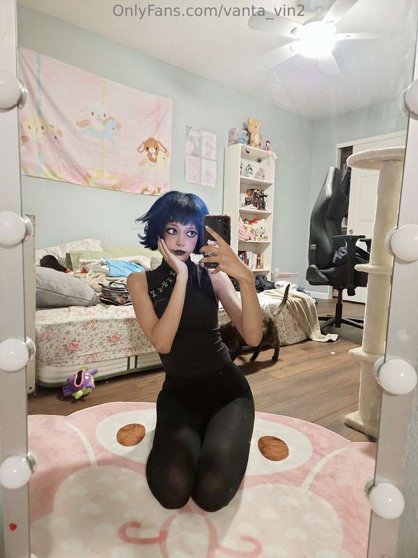 vanta_vin2