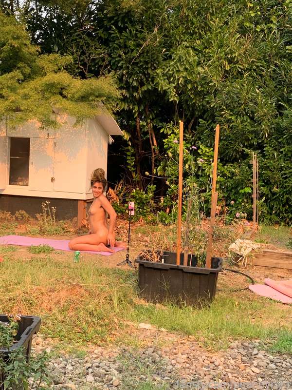media