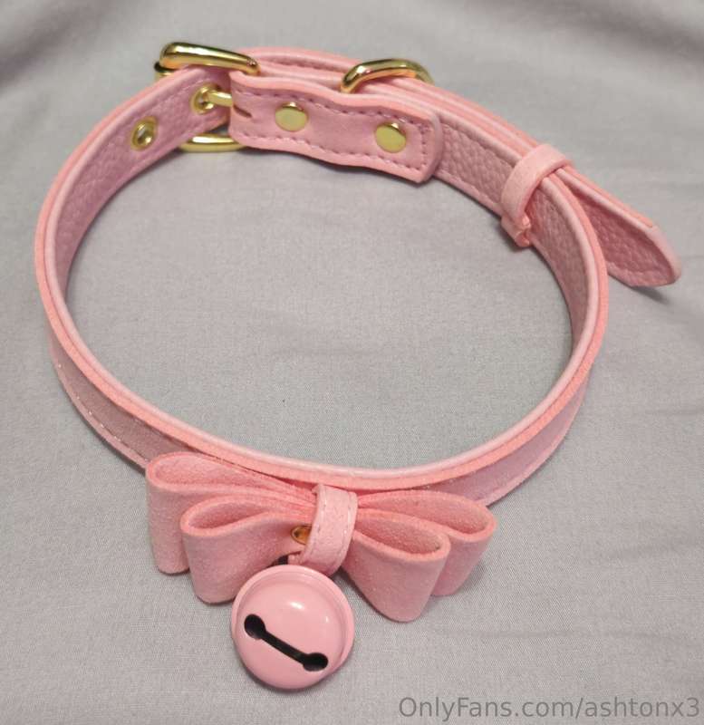 Another new collar 😍😏