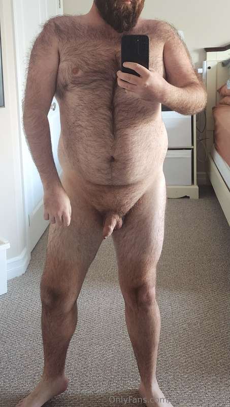 gordothebear