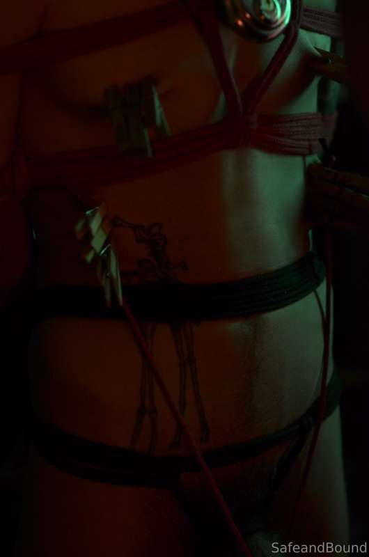 safeandbound image #2