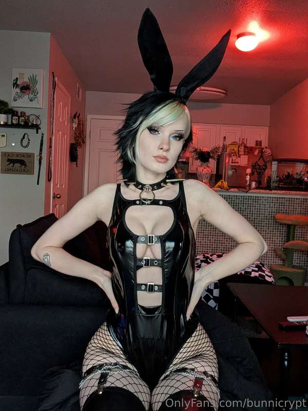 bunnicrypt image #12