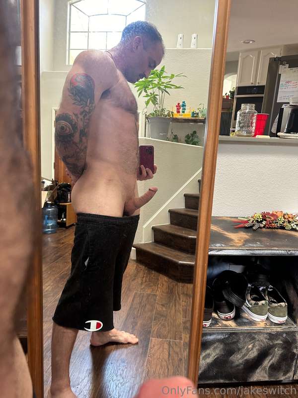 jakeswitch