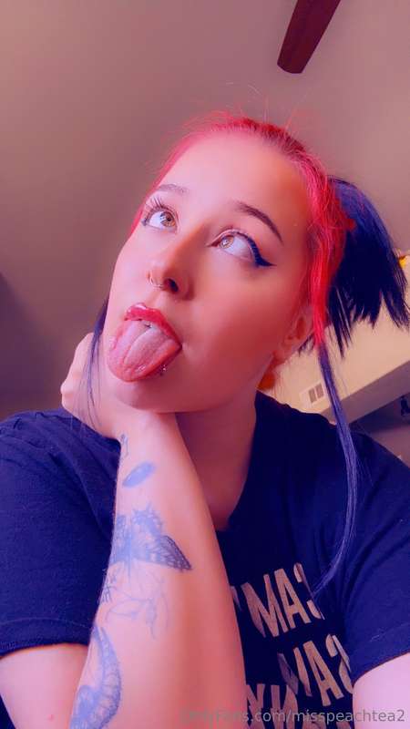 misspeachtea2
