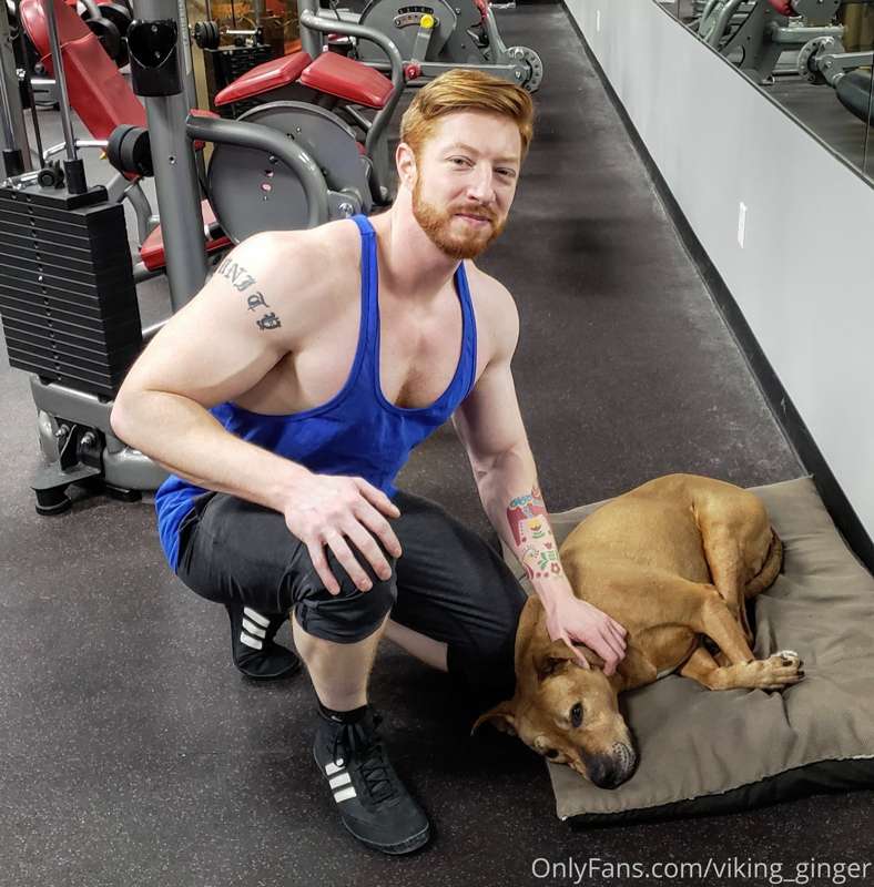 Rocky is a good boy. That makes one of us