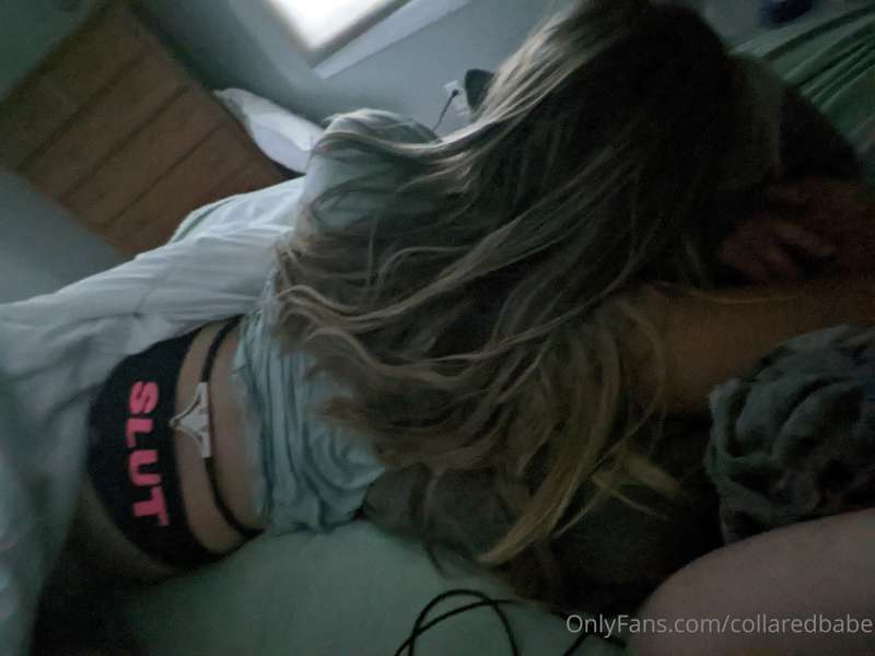 collaredbabe image #1